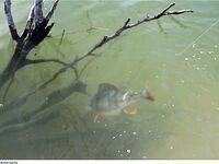 Кипр: дубль два