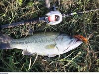 Кипр: дубль два