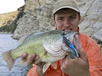 Жажда басса — вступление