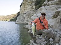 Жажда басса — вступление