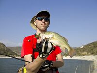 Жажда басса — вступление