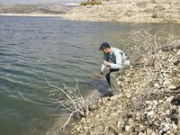 Жажда басса — вступление