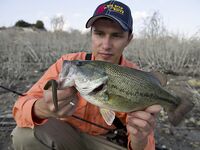 Жажда басса — вступление