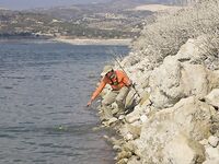 Жажда басса — вступление