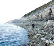 Жажда басса — вступление