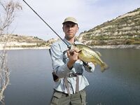 Кипр, день четвертый: Эврету и ящерицы