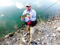 Кипр, день четвертый: Эврету и ящерицы