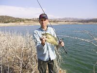 Кипр, день четвертый: Эврету и ящерицы