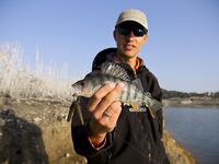 Кипр, день четвертый: Эврету и ящерицы