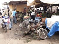 Марокко: рыбалка на баражах и океан