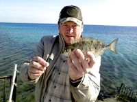 Фотки с Красного моря