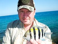 Фотки с Красного моря