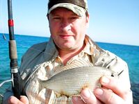 Фотки с Красного моря