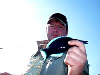 Фотки с Красного моря