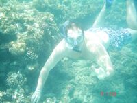 Красное море: троллинг без поклёвок