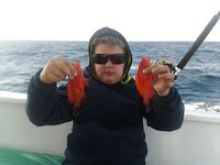 Красное море: троллинг без поклёвок