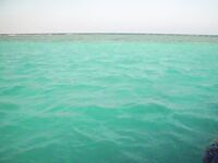 Шарм: рыбалка под страхом рейда