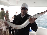 Хургада: лодка, пирс и дружба с местными