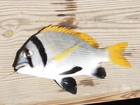 Хургада: лодка, пирс и дружба с местными