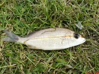 Куба осенью: шторм, канал и катамаран