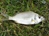 Куба осенью: шторм, канал и катамаран