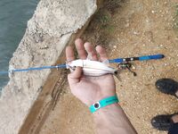 Куба осенью: шторм, канал и катамаран