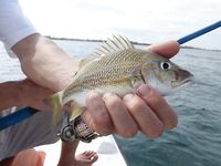 Куба осенью: шторм, канал и катамаран