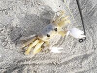 Куба коротко