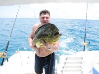 Куба 2010: катамаран и сожаление о тарпонах