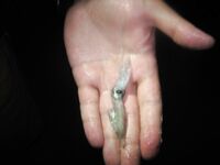 Варадеро: катамаран, попперы и крабы