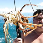 Куба: от Карибского моря до Кайо-Коко