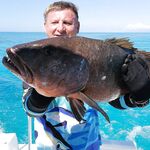 Куба: от Карибского моря до Кайо-Коко