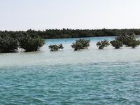 Кайо Энсеначос: отобранный спин и ночные выходы