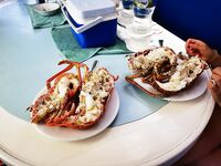 Невезучая Куба: ноль поклёвок и вкус лангустов