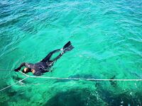 Невезучая Куба: ноль поклёвок и вкус лангустов