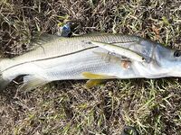 Неделя на Кубе: трудовая рыбалка и море эмоций