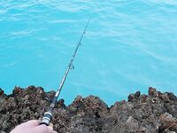 Морская рыбалка у Марины: барра, року и морские звёзды