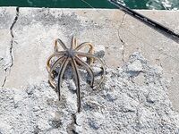 Канал после Марины