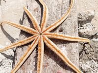 Канал после Марины