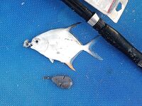 Куба без фильтров: советы, выводы, друзья