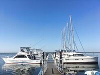 Фото январской рыбалки с Кубы