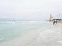 Palma Real и поиск мест у дельфинария