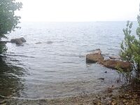 Palma Real и поиск мест у дельфинария