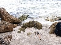 Palma Real и поиск мест у дельфинария