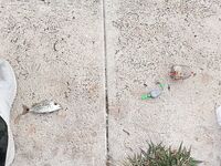 Большой канал у моста и поклёвки на креветку