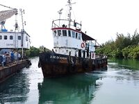 Большой канал у моста и поклёвки на креветку