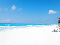 Катамаран, барракуды и потерянная кормушка