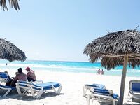 Катамаран, барракуды и потерянная кормушка