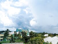 Катамаран, барракуды и потерянная кормушка