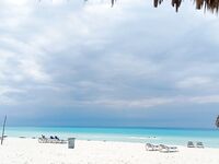 Катамаран, барракуды и потерянная кормушка